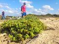 2014-09-05 Flora Beach